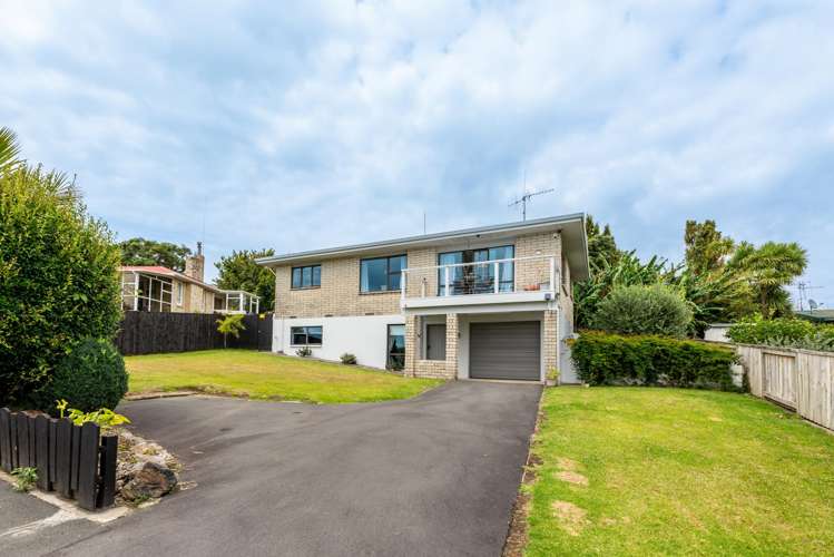 46 Princess Road Bellevue_16
