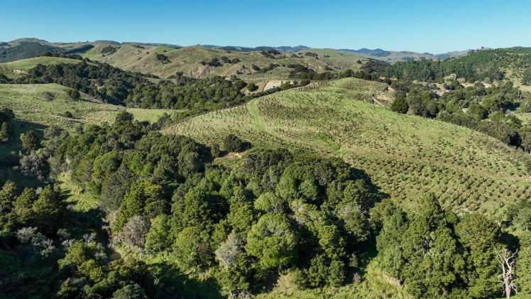 1550 Glenora Road Akitio_24