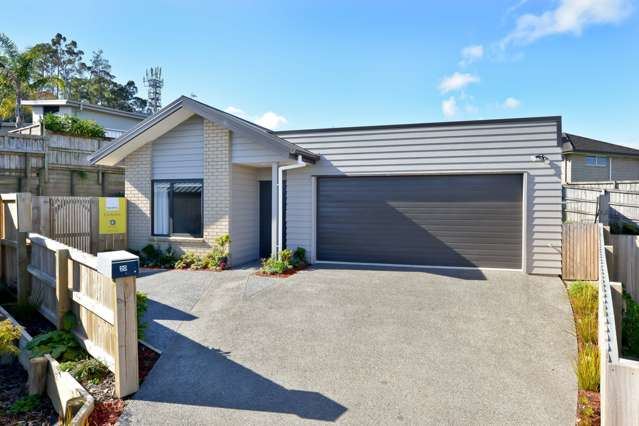 20 Taotahi Avenue Dinsdale_1