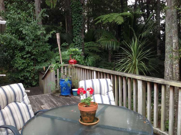 97 Waima Crescent Titirangi_18