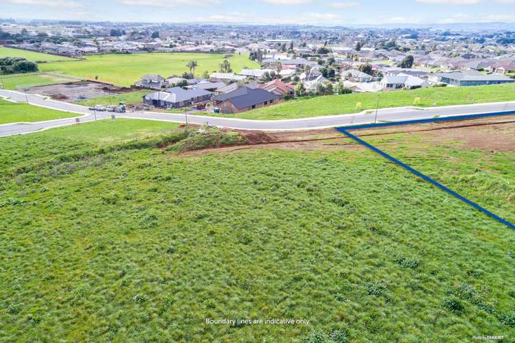 Catherine Mclean Road Pukekohe_4