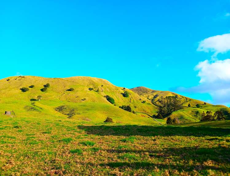 92 Takahue Saddle Road Takahue_10