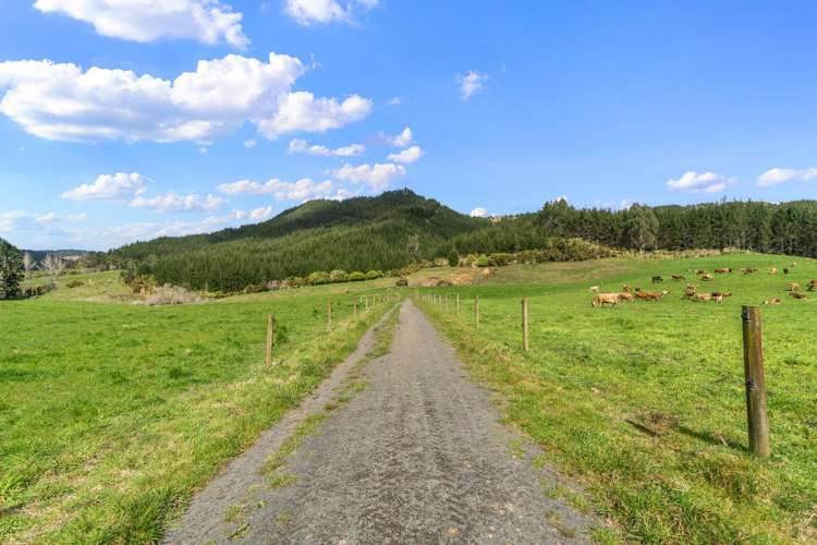 735 Tairua SH25 Road Onemana_11