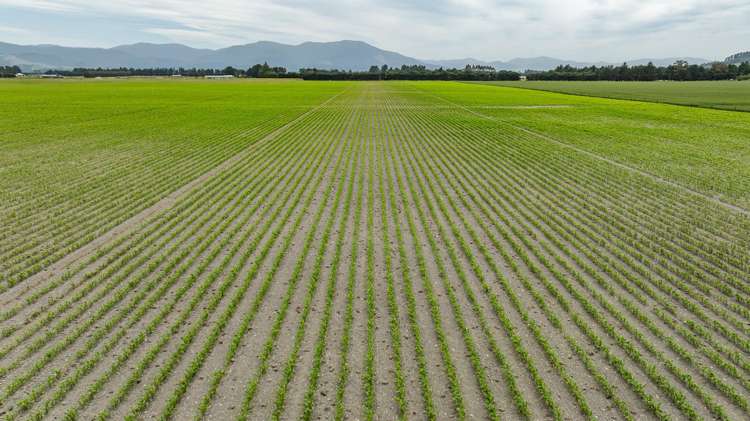 190 Bennetts Road Cust_16