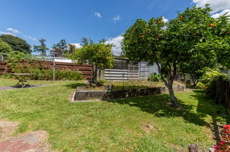 46 Claremont Avenue Paeroa_16
