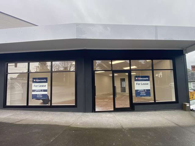 1081 New North Road Mount Albert_2