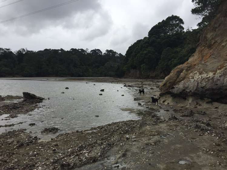 30 Lynbrooke Avenue Blockhouse Bay_26