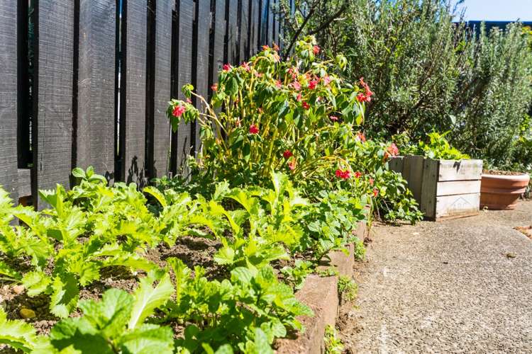 3/4 Waterloo Road Milford_20