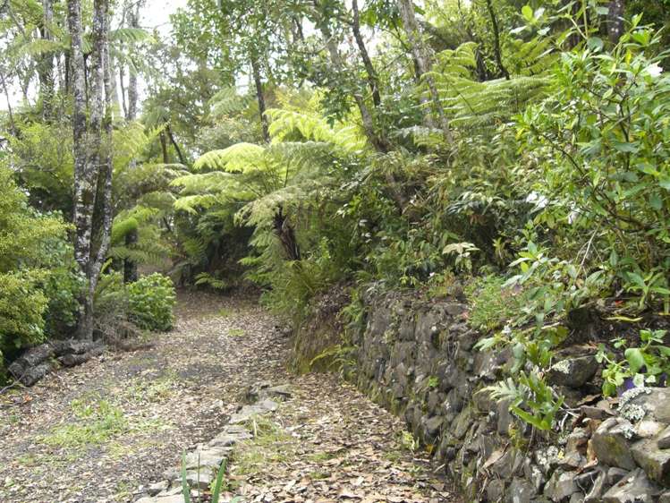 48 Tairua Heights Tairua_9