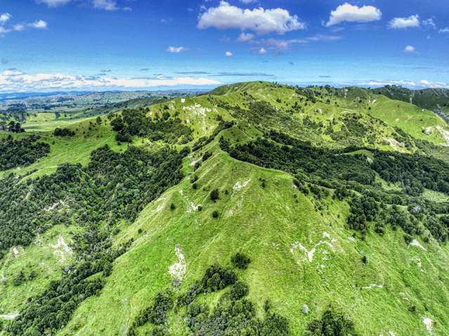 851 Awamate Road Frasertown_2