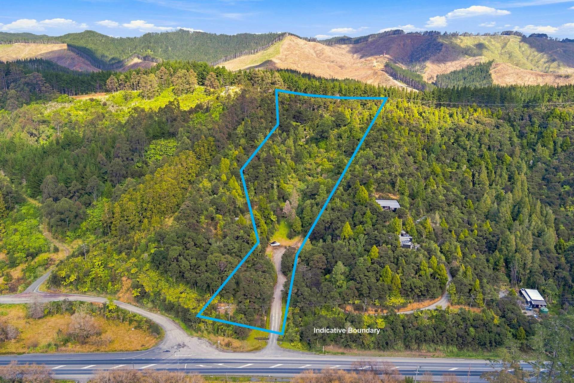 State High Way 1Dome Forest Warkworth_0