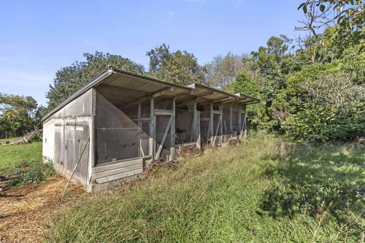 691 Highway 22 Pukekawa_11