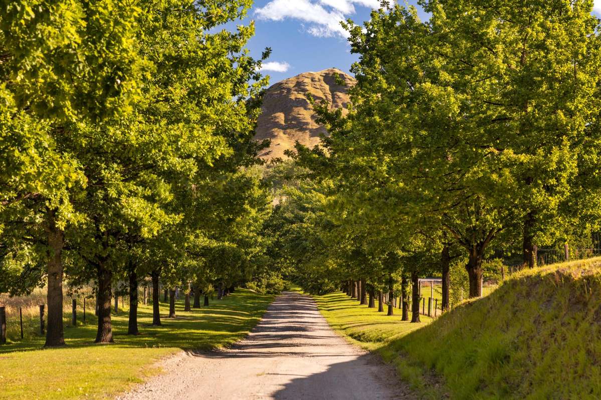 5-7 Speargrass Flat Road_2