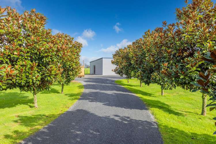 188 Mill Road Ohaupo_13