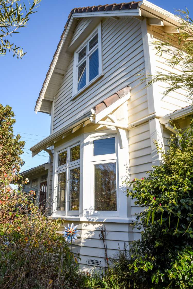 218 Forbury Road Saint Clair_25