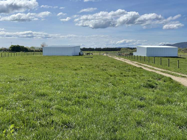 799 Kaka Point Road Balclutha_10