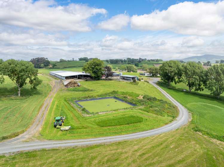 1557 Morrinsville-Walton Road Morrinsville_10