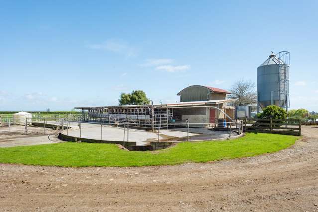 220 Waiomou Road, Okoroire Tirau_4