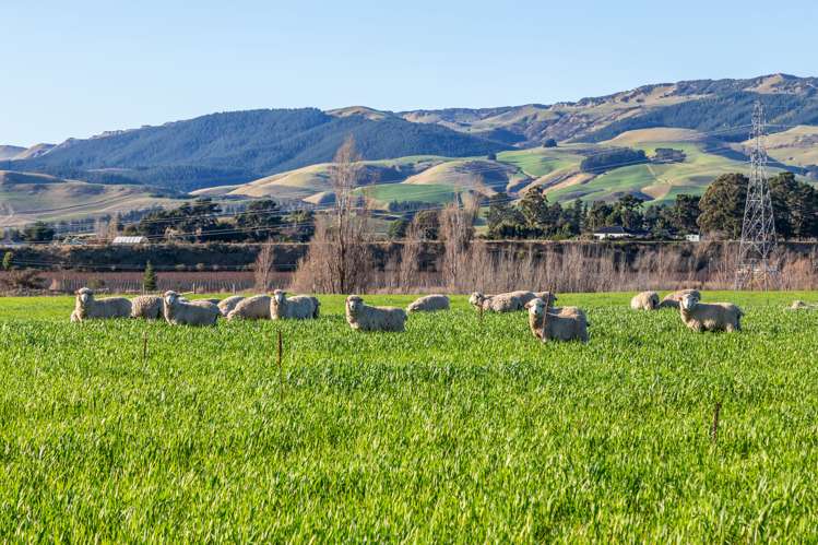 380 Waipara Flat Road Waipara_24