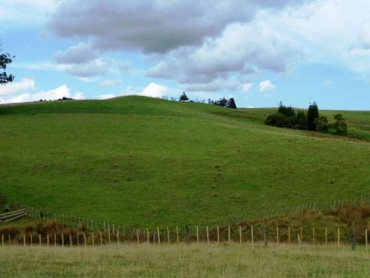 1577 Tangowahine Valley Road Dargaville Surrounds_14