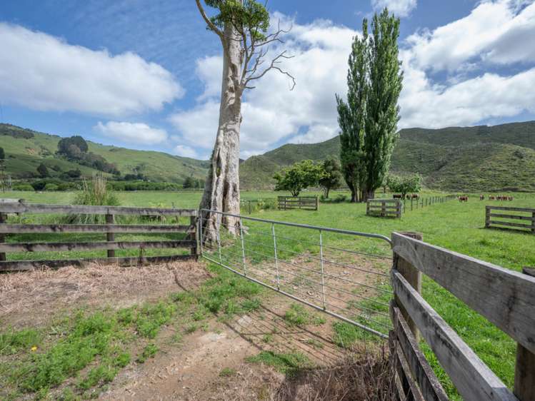 223 Coutts Road Marokopa_11