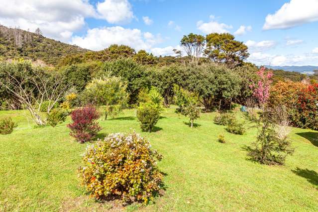 285 Bellville Drive Coromandel_3