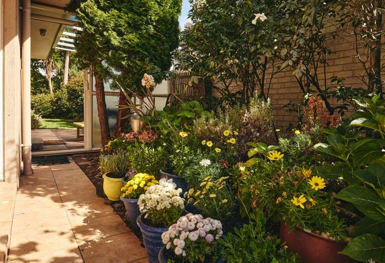 12 Battys Road Springlands_15