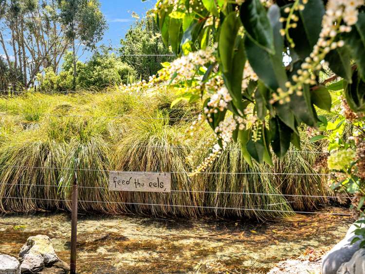 165 Jacksons Road Ohoka_32