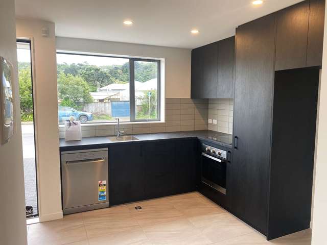1/130 Richmond Street Petone_3