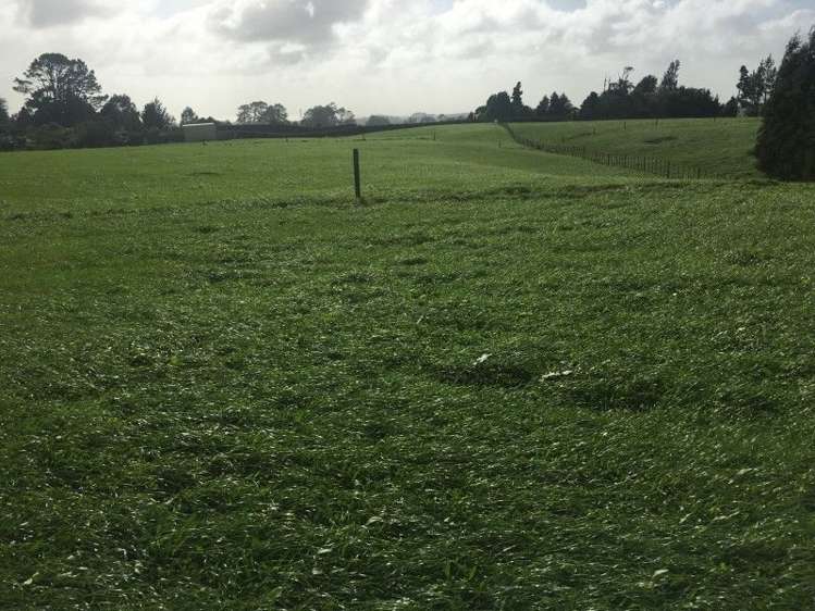 457 Kent Road Korito_16