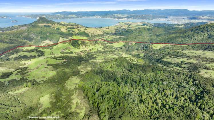928 Kuaotunu-Wharekaho Road Wharekaho_8