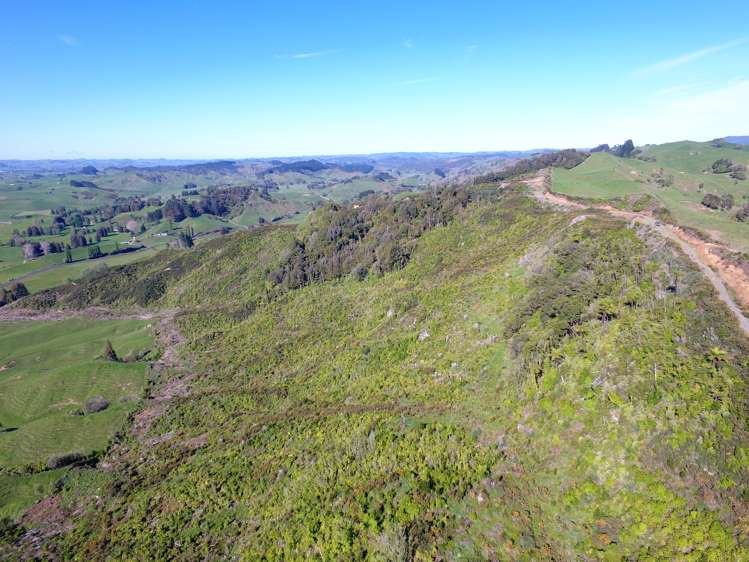 276B Waitomo Valley Road Otorohanga_10