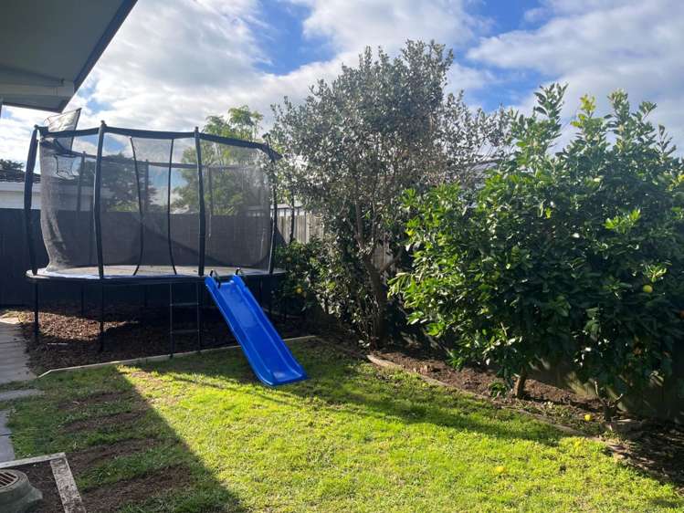 65 Ascot Road 11229_10