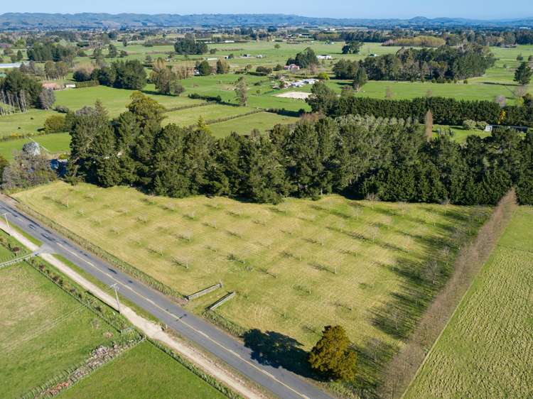 417 Upper Plain Road Masterton_18