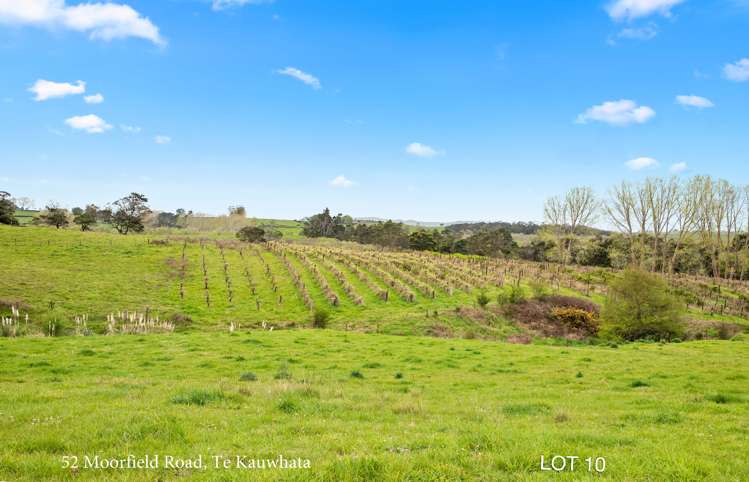 52 Moorfield Road Te Kauwhata_3
