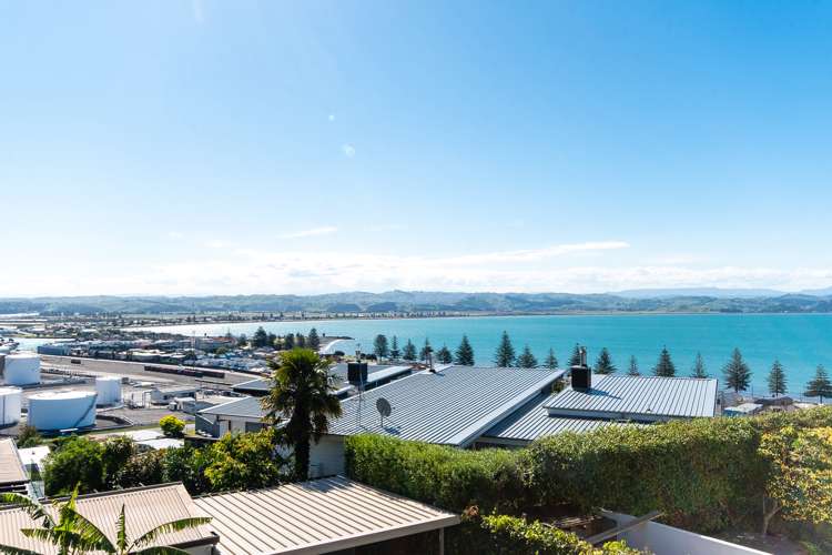 36 Roslyn Road Bluff Hill_10