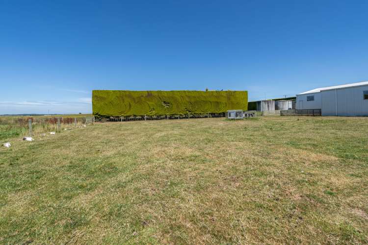 82 Mokotua Road Wyndham Surrounds_25