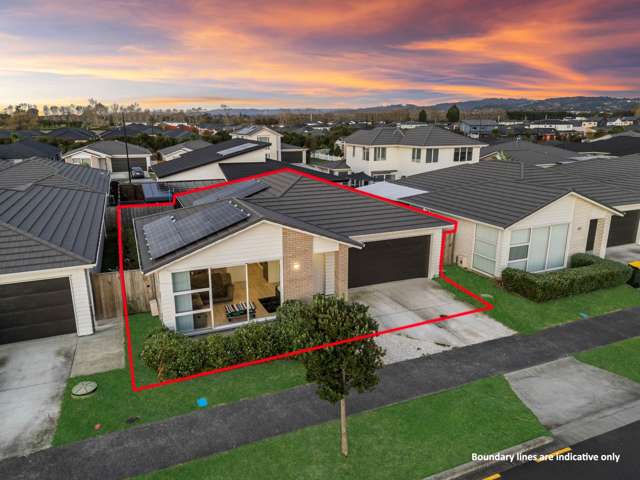 Modern Family Living with Park Views in Takanini