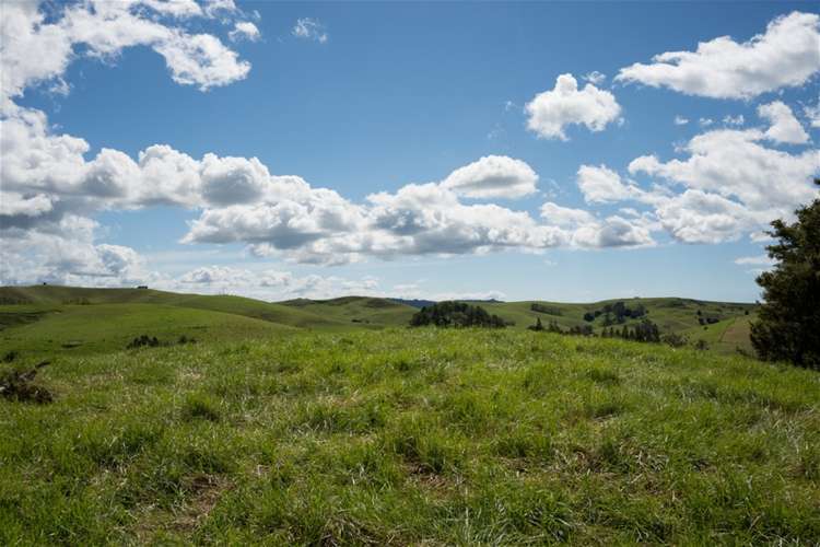 69 Fraser Road Kawakawa_9