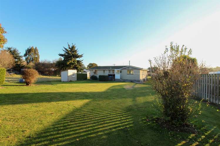 1 Shrimski Street Deborah_12