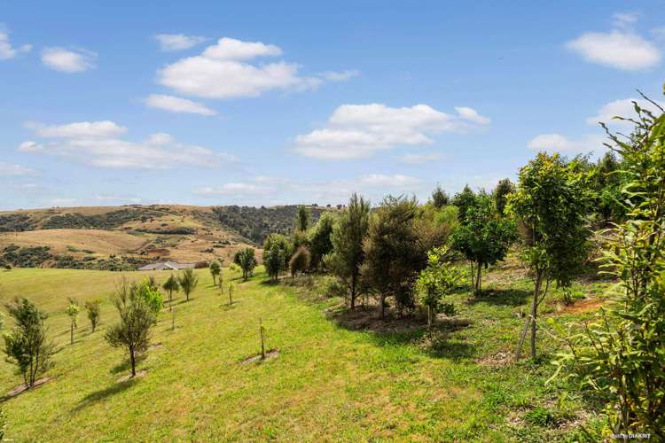 401 Peach Hill Road Ramarama_10