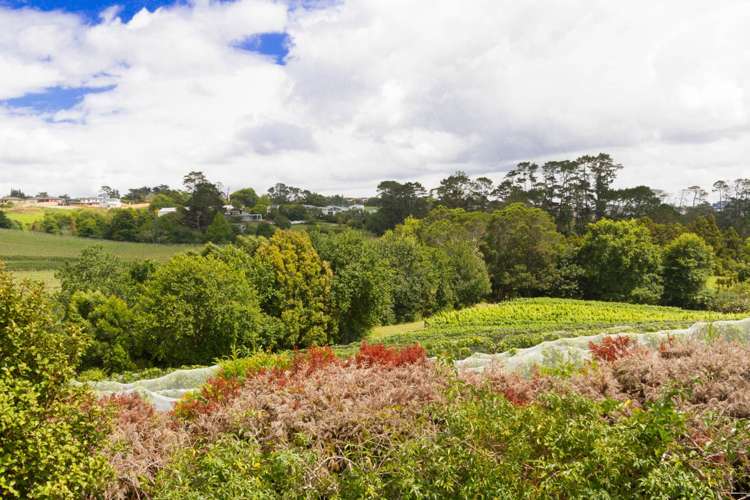 30 Brittany Drive Henderson_19