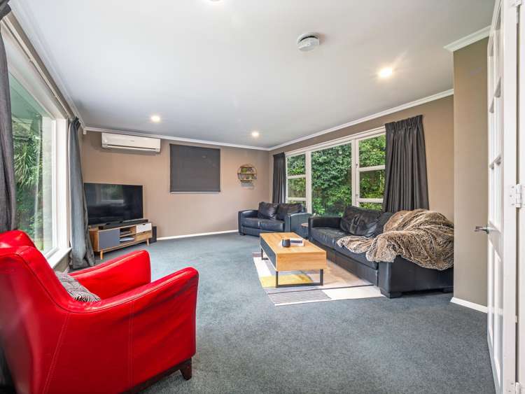 47 Alfred Street Roslyn_8