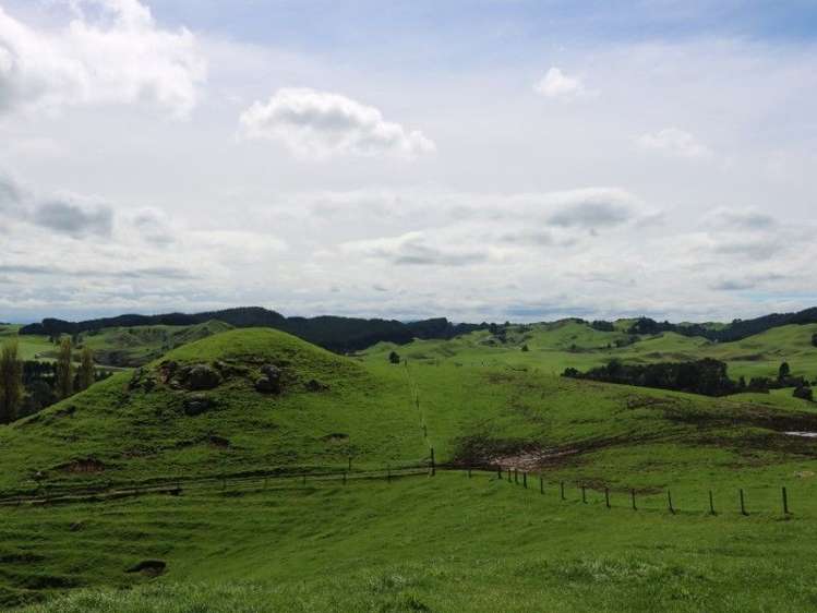 196 Hildreth Road Arapuni_18