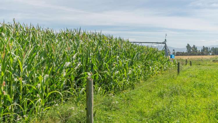 1051 Carleton Road Oxford_20