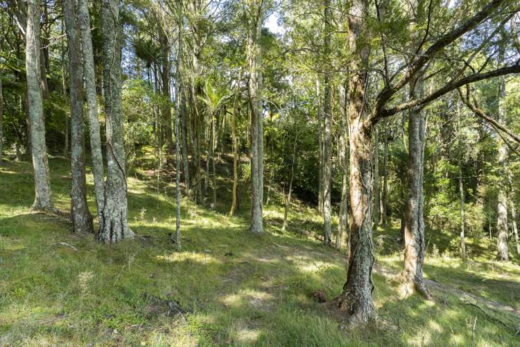 170 Corbett Road Whakapara_24