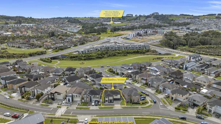 32 Helianthus Avenue Flat Bush_26