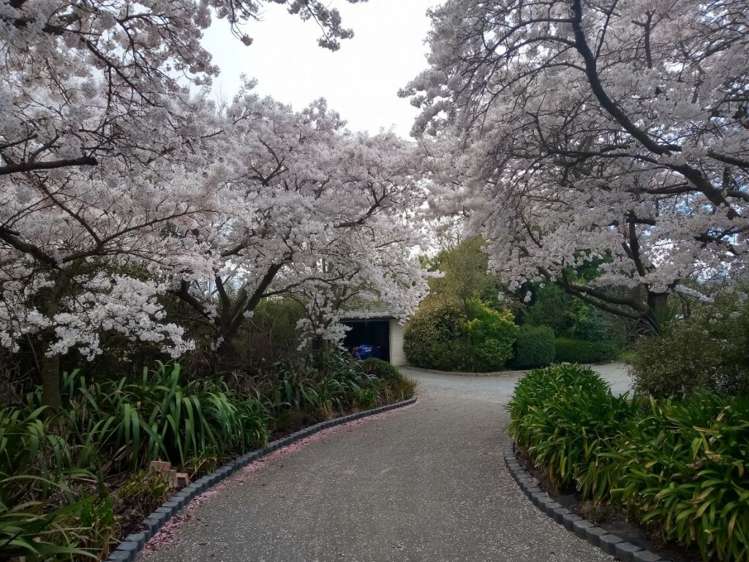 21 Manna Place West Melton_19