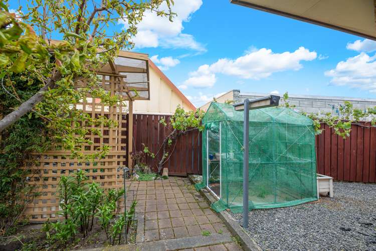 16b Wither Road Witherlea_13