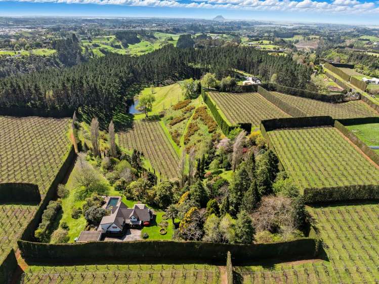 354 Joyce Road Pyes Pa_1